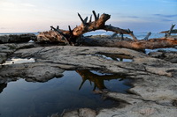 Coast of Corse - fotografa de naturaleza masculina fuerte 